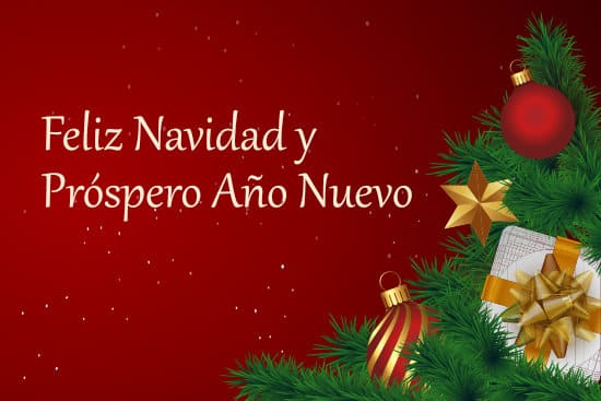 ¡El equipo de ASNA le desea unas felices fiestas y un próspero año nuevo!